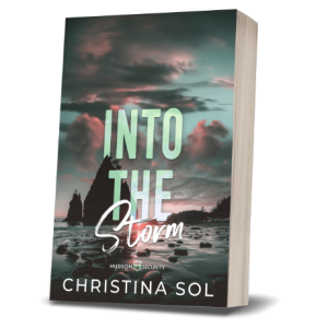 Into the Storm paperback cover